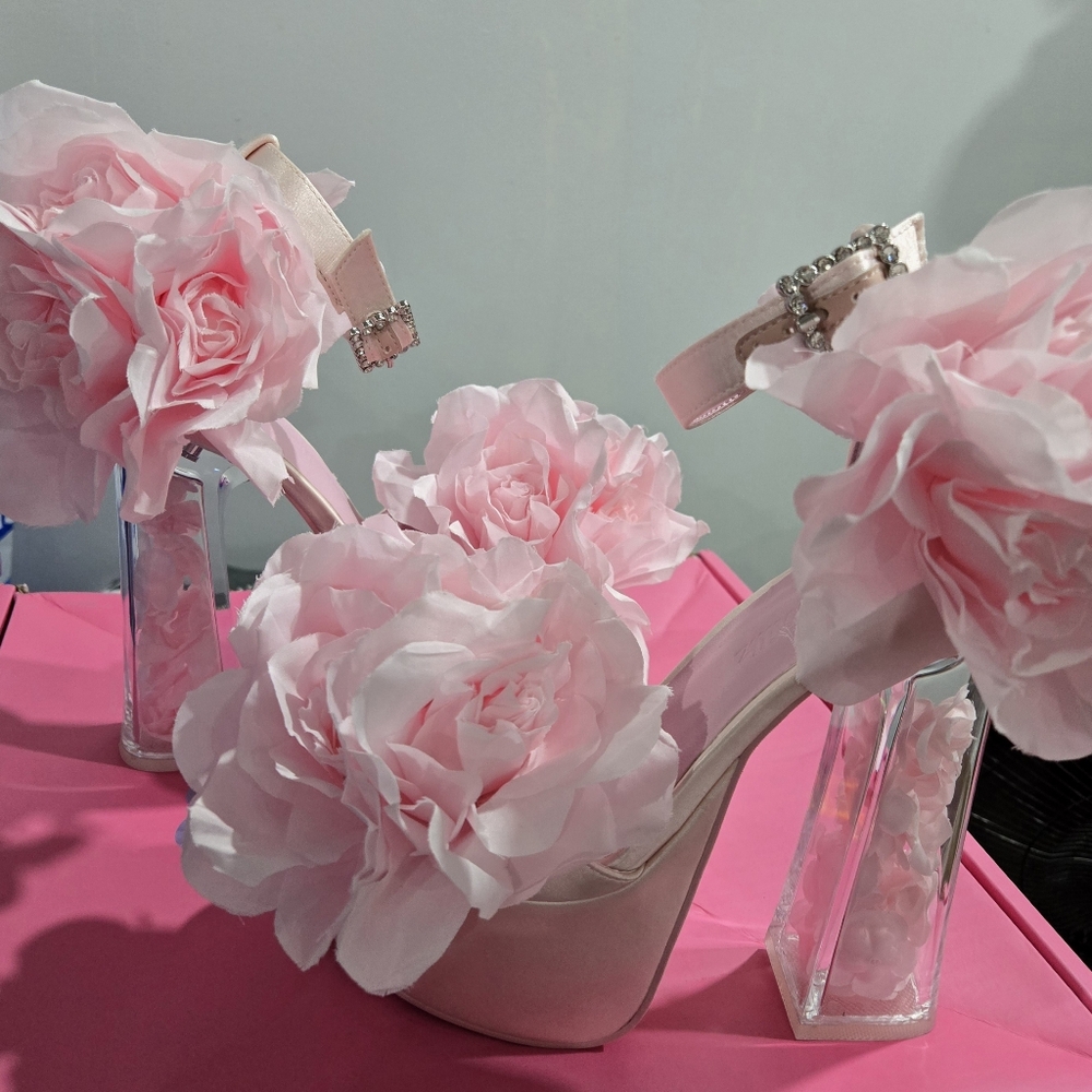 BNIB size 6 Sugar Thrillz Rose Shoes